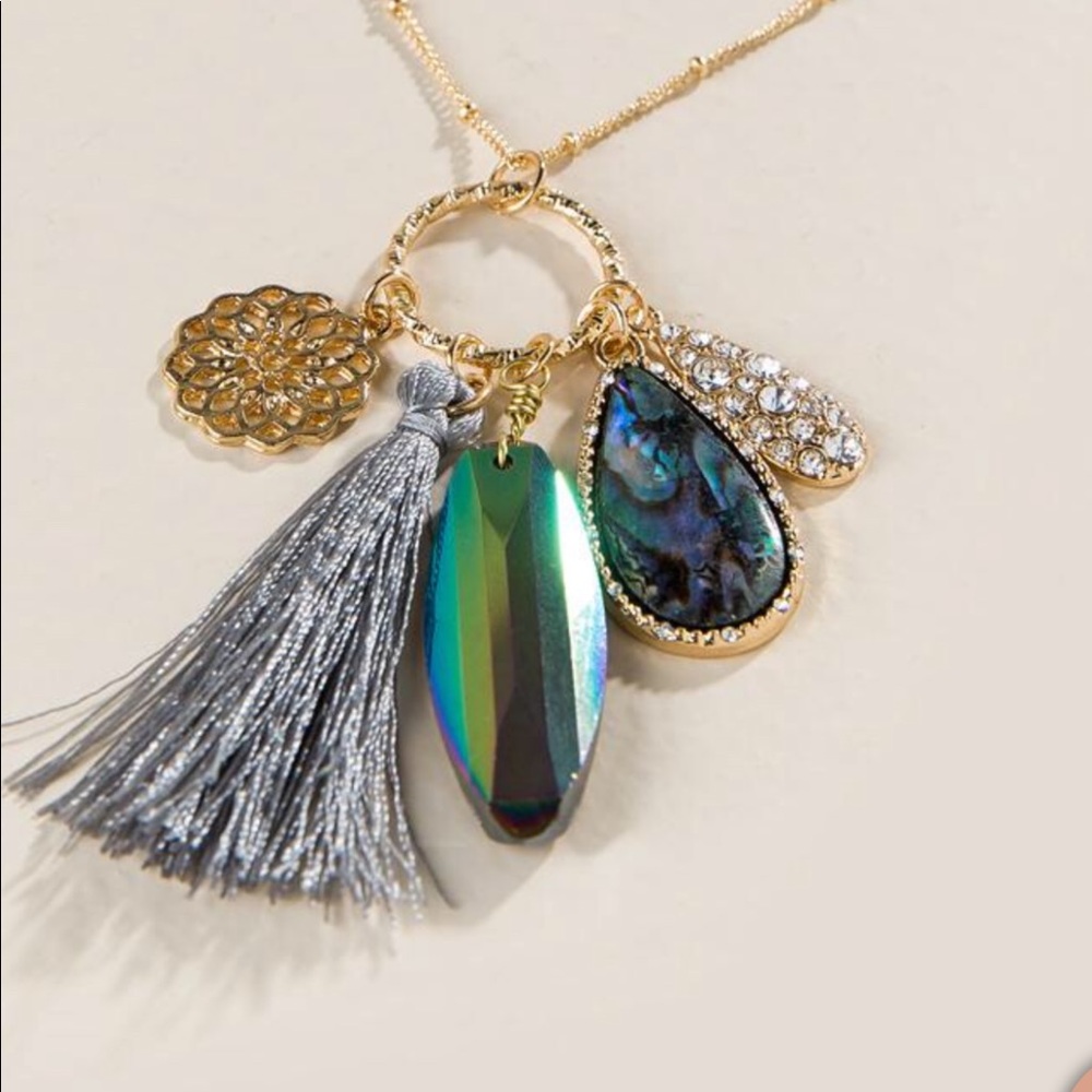 Francesca’s’s long necklace